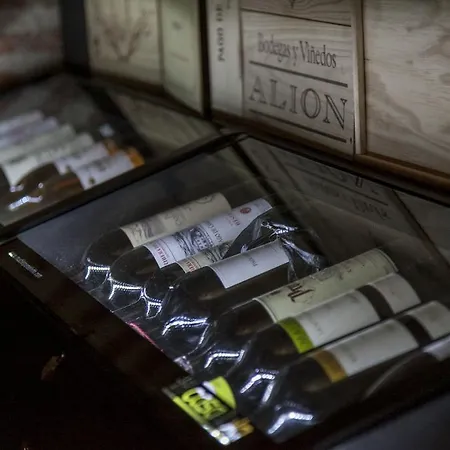 Pensionat Casa Lola Rueda