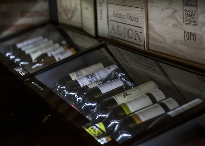 게스트하우스 Casa Lola 루에다